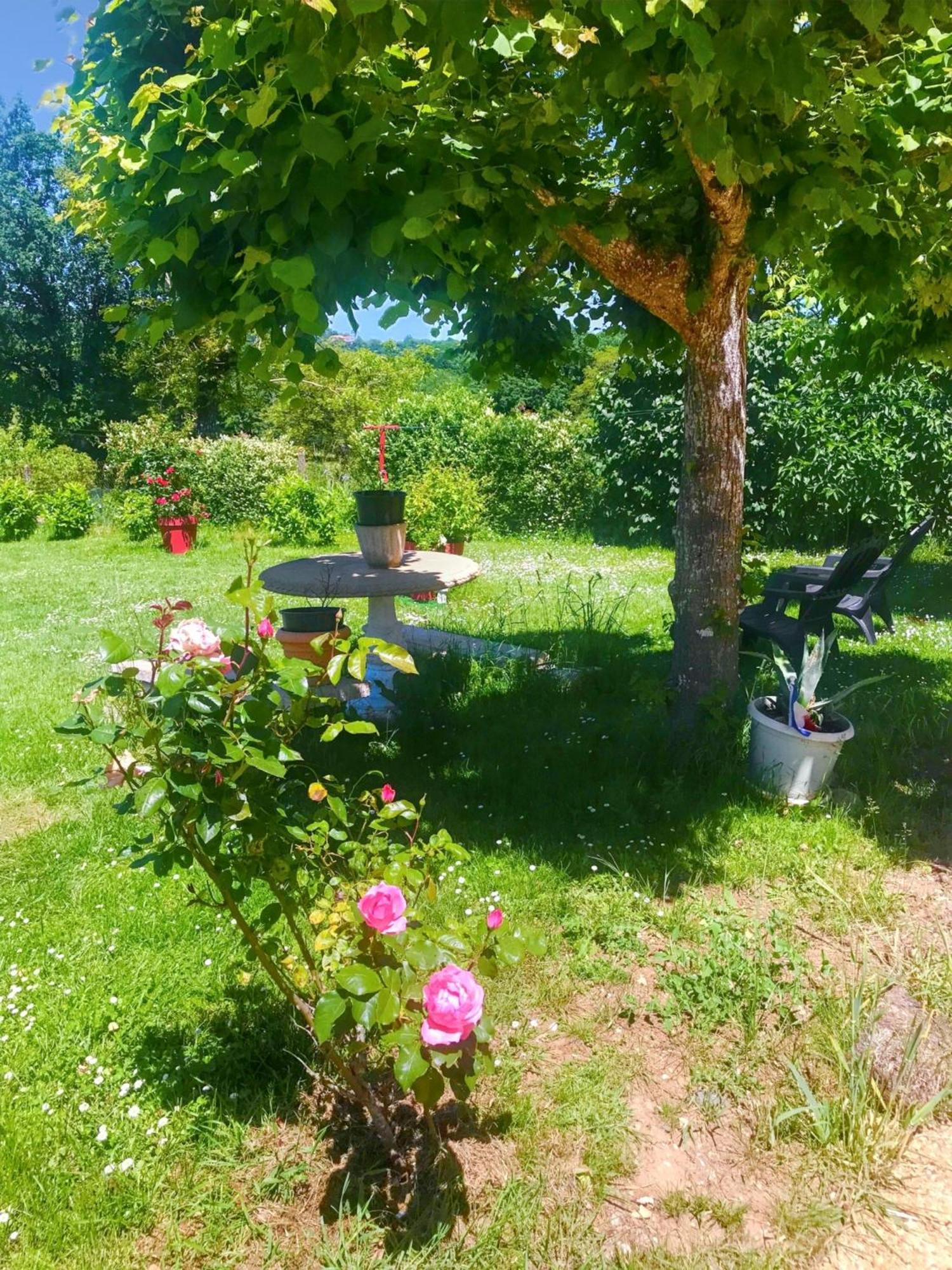 Appartement Charmant A Toulonjac Avec Jardin Et Terrasse 110 M² ภายนอก รูปภาพ
