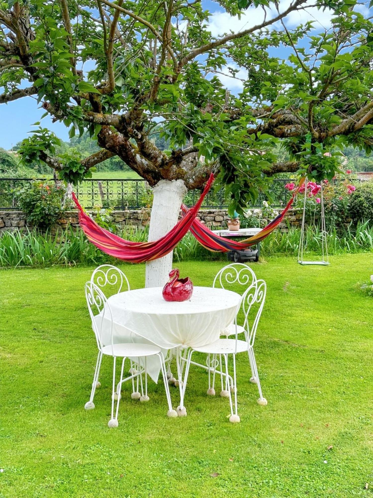 Appartement Charmant A Toulonjac Avec Jardin Et Terrasse 110 M² ภายนอก รูปภาพ