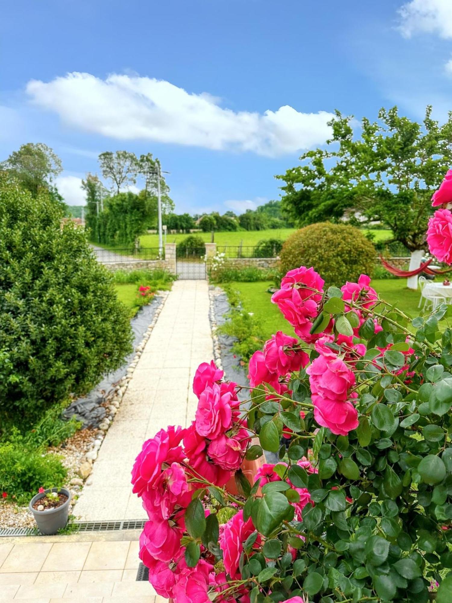 Appartement Charmant A Toulonjac Avec Jardin Et Terrasse 110 M² ภายนอก รูปภาพ